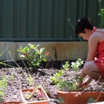 Heidi in the herb and vegetable garden Heidi in the herb and vegetable garden